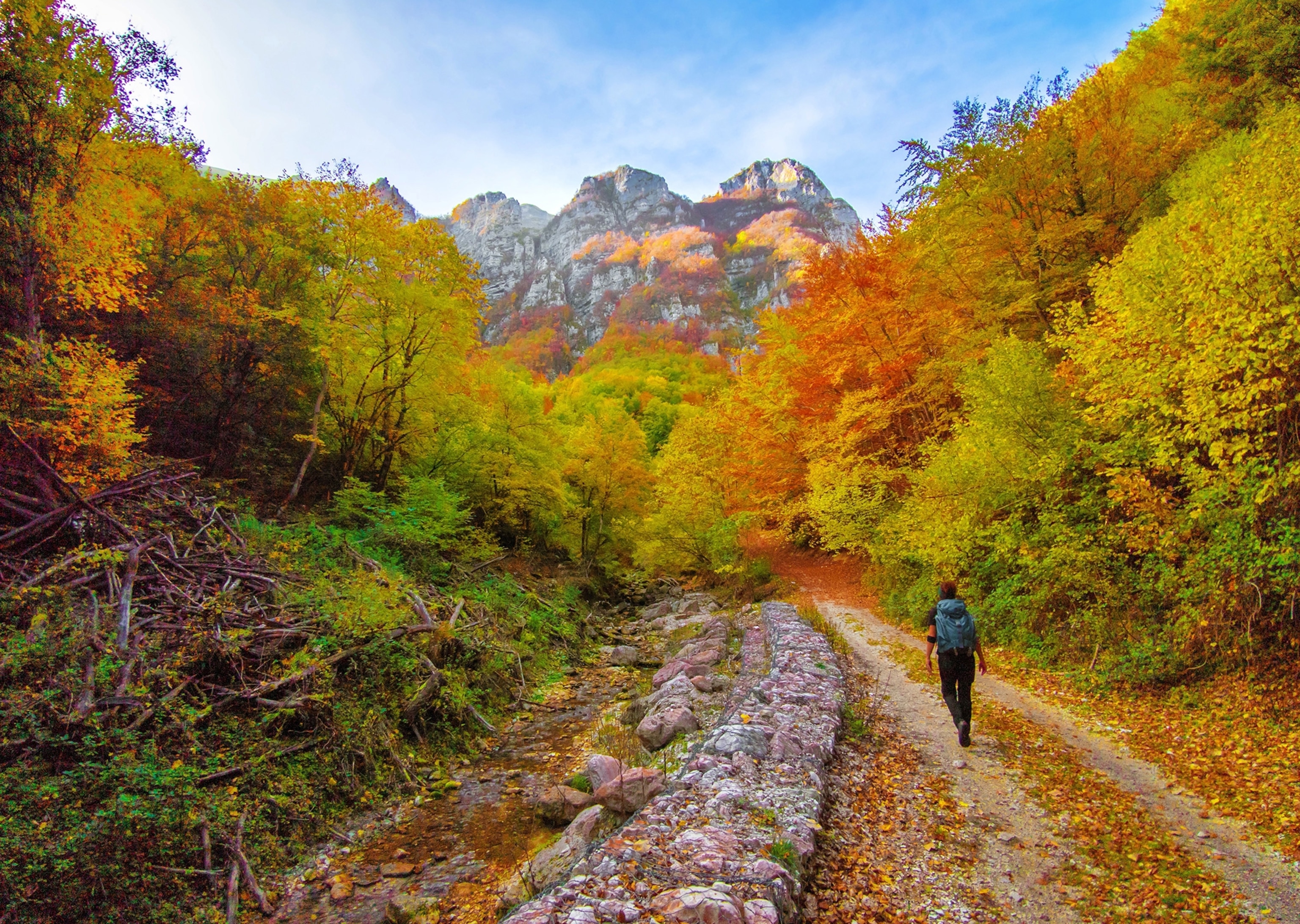 A person walks in Monti Sibillini National Park surrounded by colorful with autumn foliage.