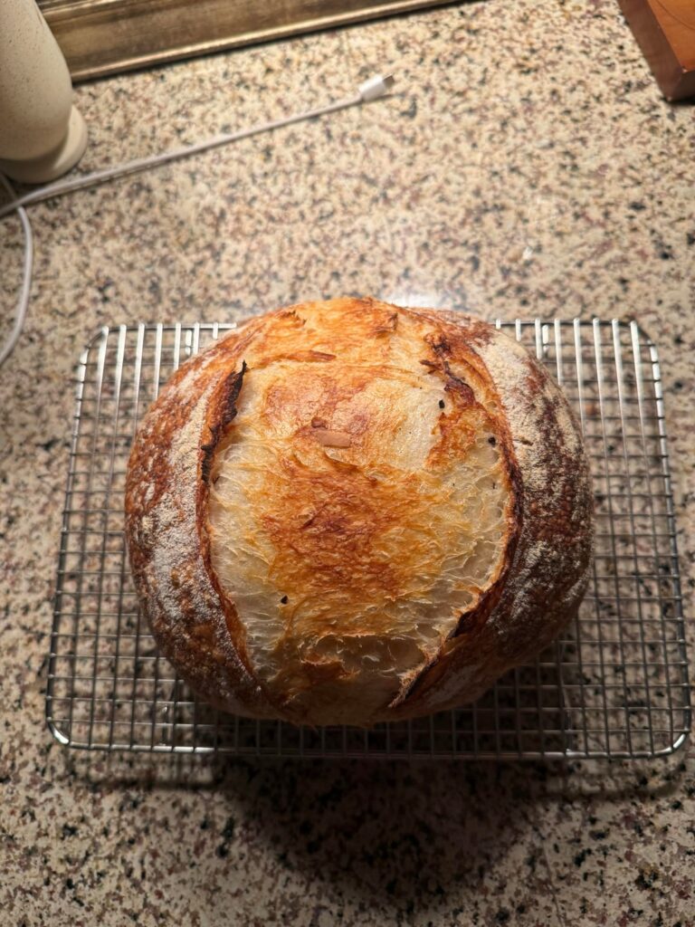 Same day bake Same day bake