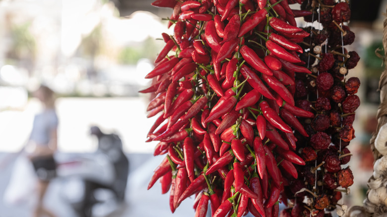 Calabrian peppers hanging in a bunch for sale