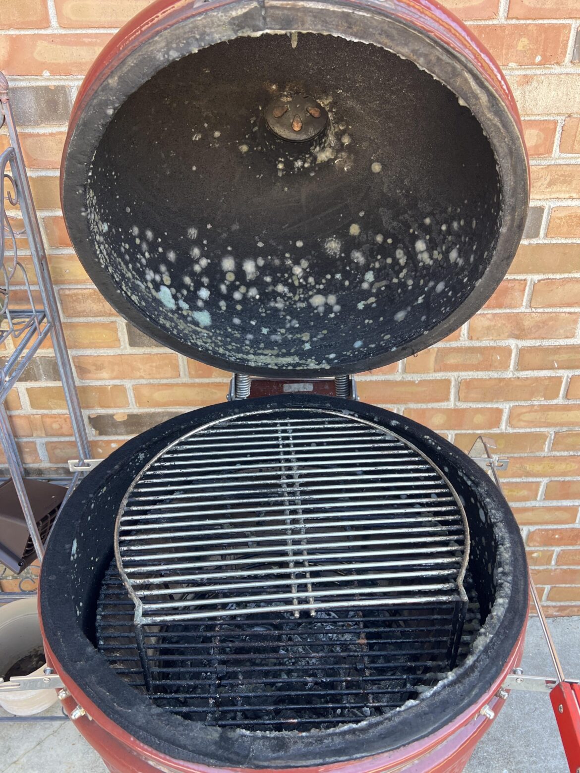 Best way to clean and sanitize and prevent this again?