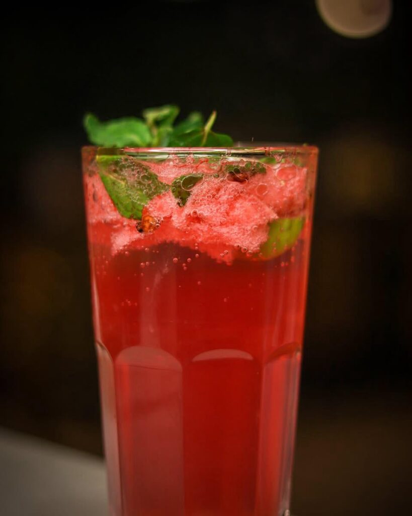 Watermelon Mint Mojito 🍉🌿🥤