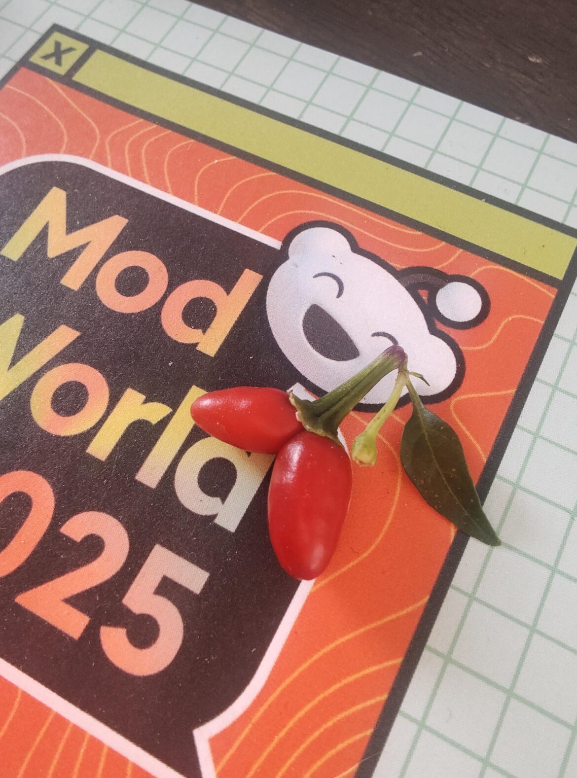 Ever see this before ?!?!??