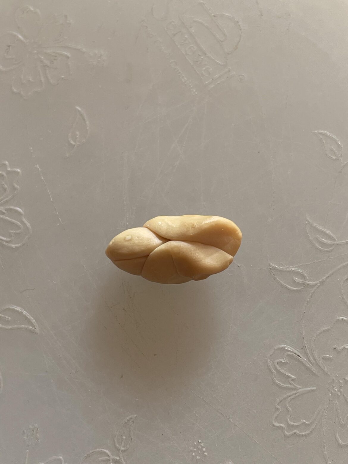 See this image and tell how this groundnut is. Is this how groundnuts intimate?