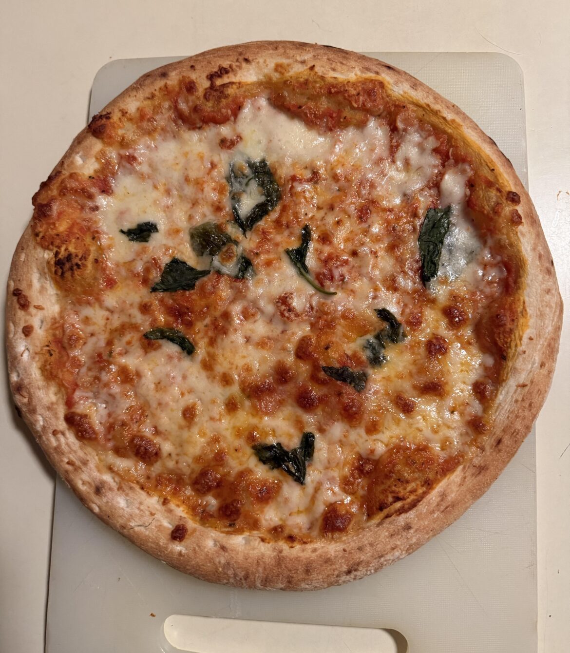 Still can't believe this is a frozen pizza.