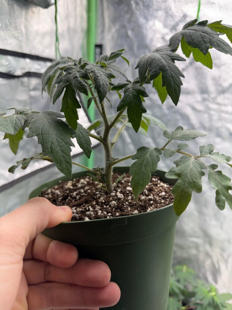 Little one’s got structure 💪🏼