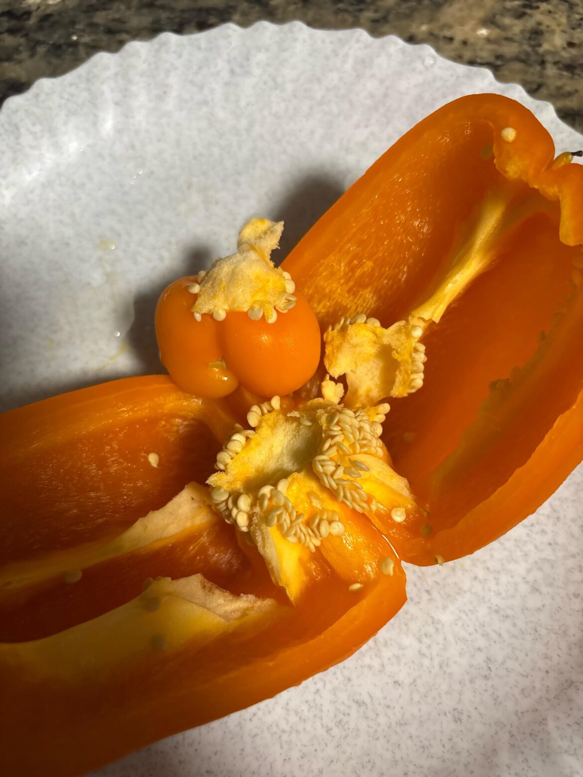 Capsicum inside a capsicum??