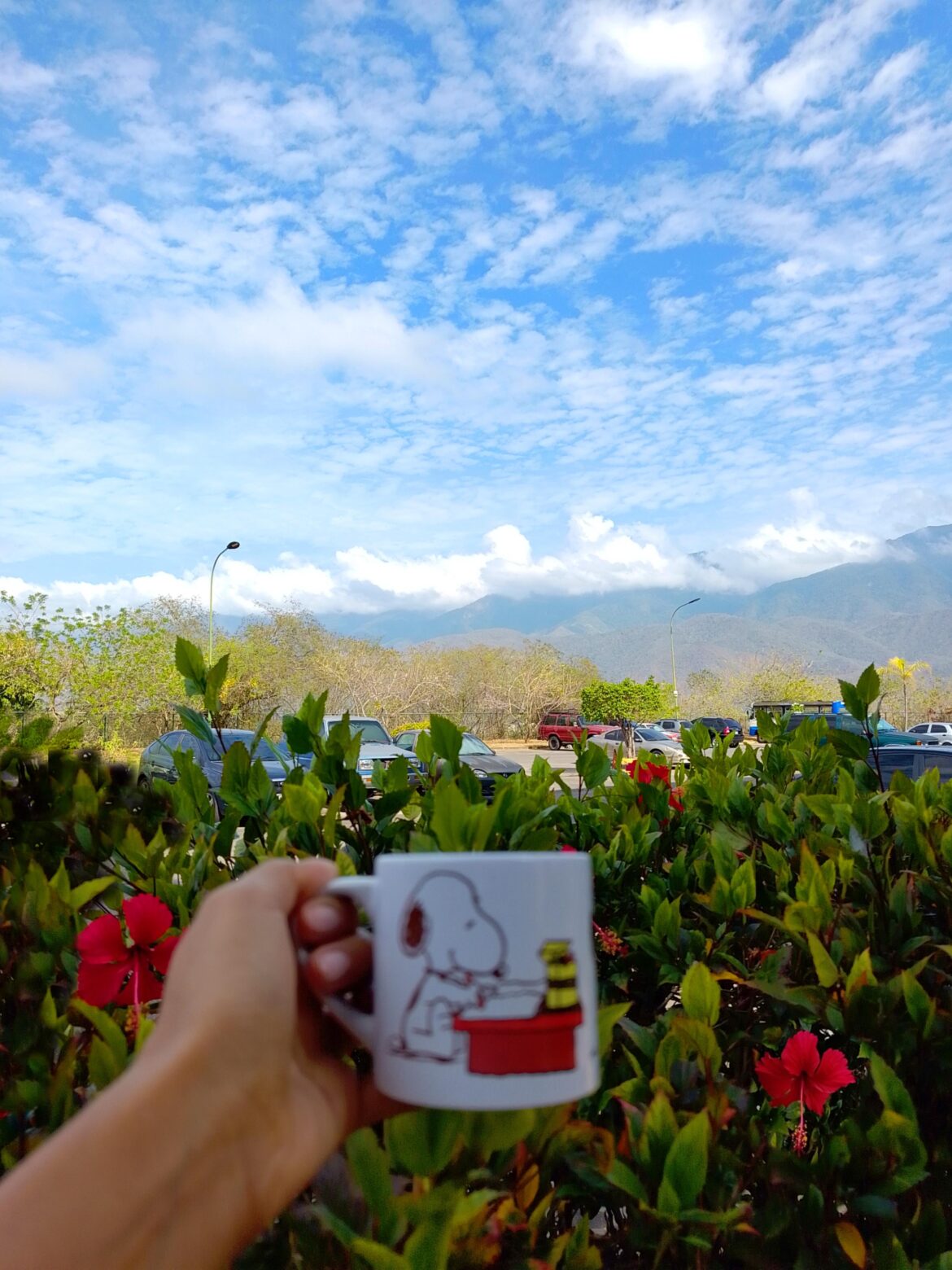 Good morning everyone from the Caribbean 🌞🐚 Happy Sunday to all!! May God bless every continent in this group 🫰 Blessings to all.