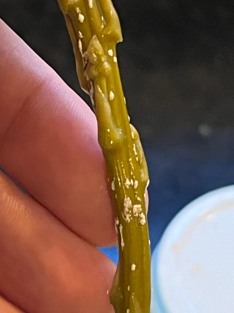 White spots on canned asparagus