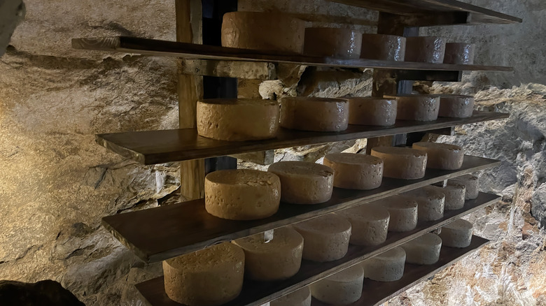 Shelves of cheese aging in a natural cheese cave in Spain
