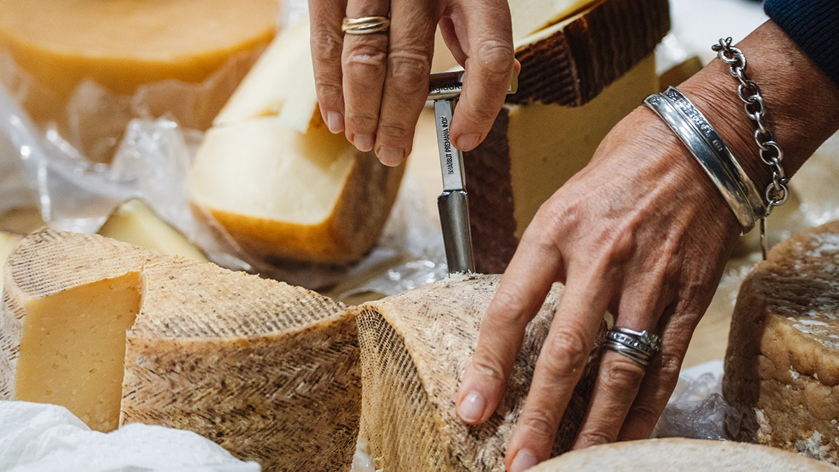 Judge's hands seen testing cheeses at awards.