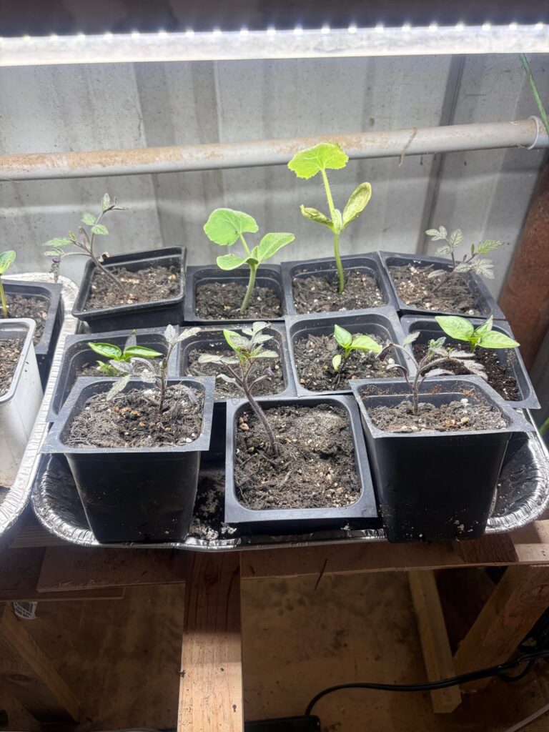 Update: how do they look now??