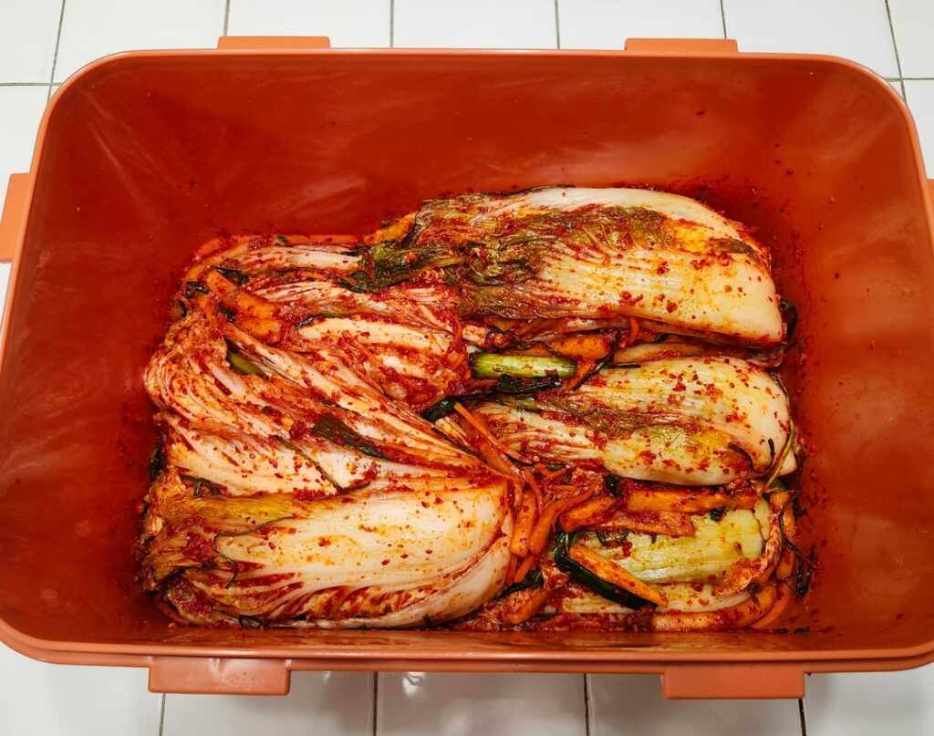 New batch of kimchi and some 고구마