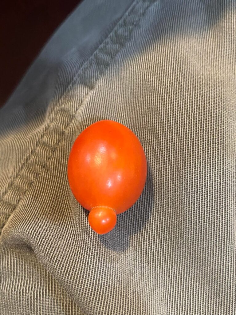What causes a tomato to grow like this?