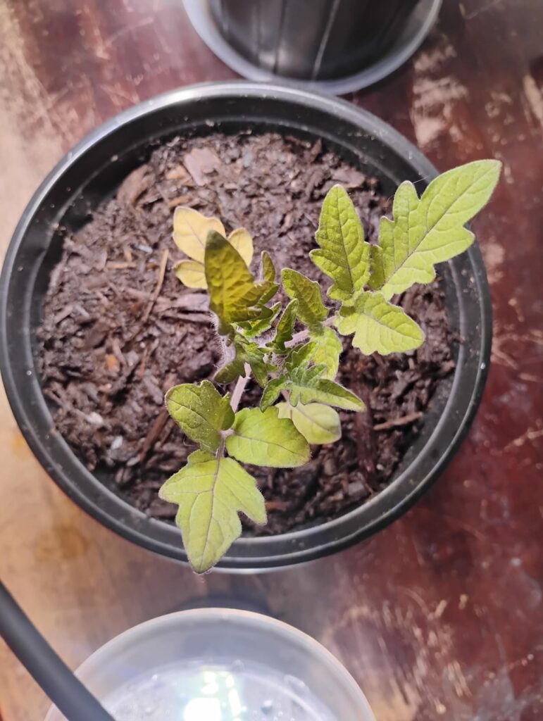 Any tips for me? Any tips for me?