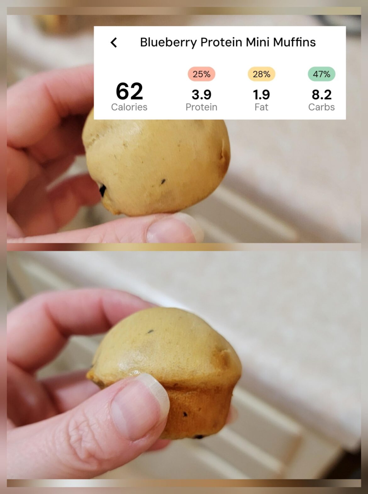 Made some highish protein blueberry muffins