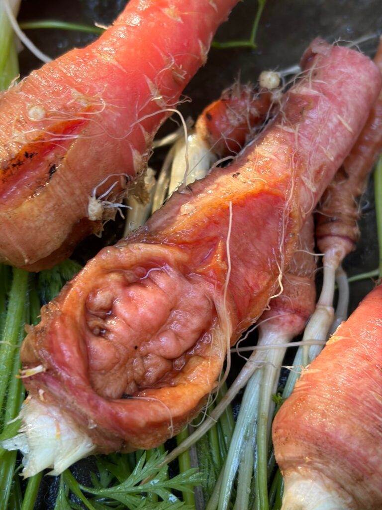 Why do I have zombie carrots?