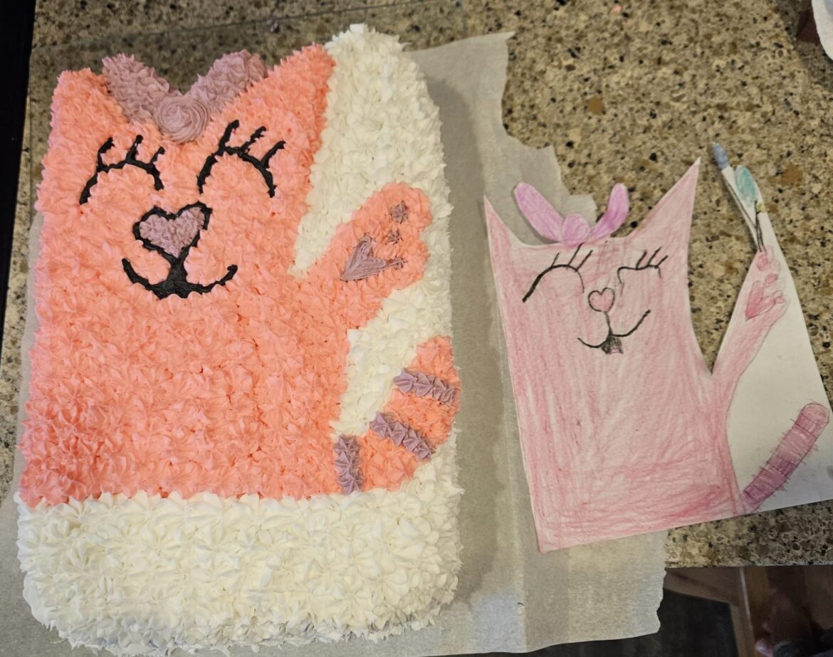 When your niece wants a cake that looks like her drawing