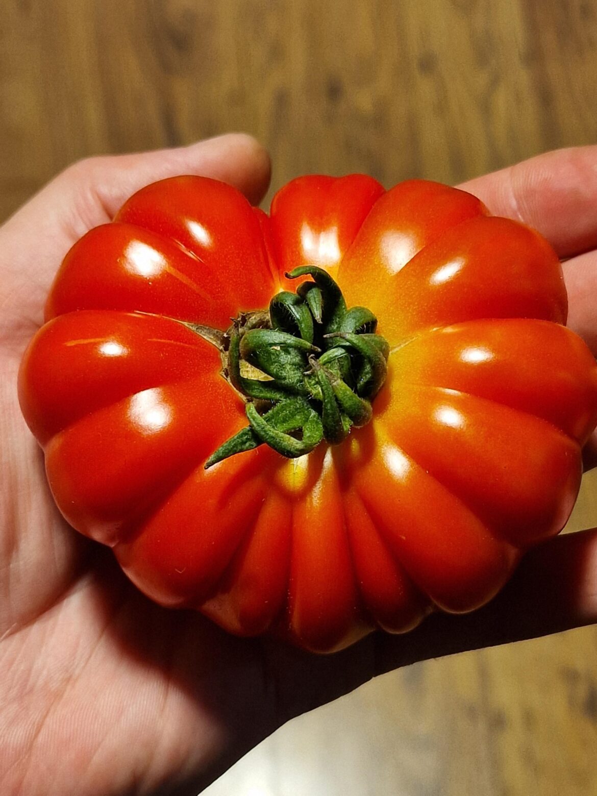 My Costoluto Fiorentino tomato from last year looks almost like AI generated