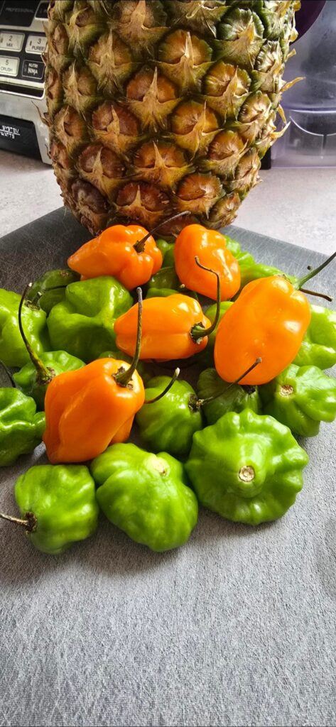 Scotch bonnet, habanero, and pineapple dump sauce