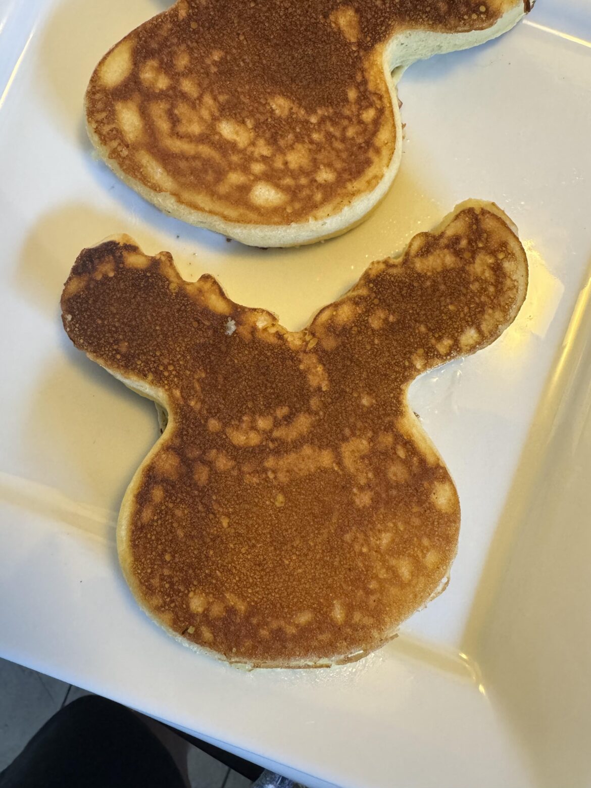 Moose Pancakes
