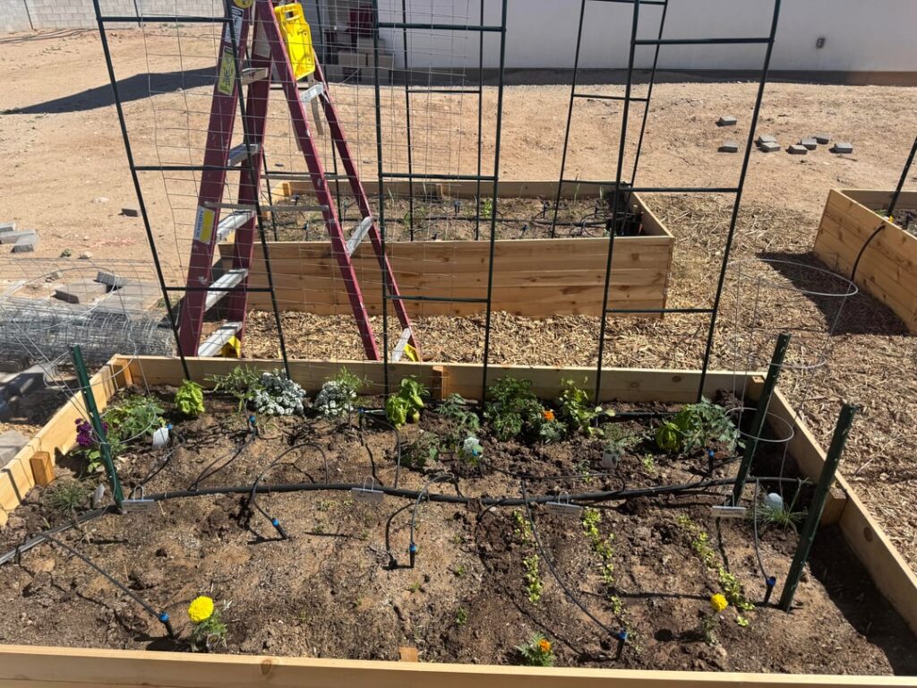 I may have gone overboard 😅