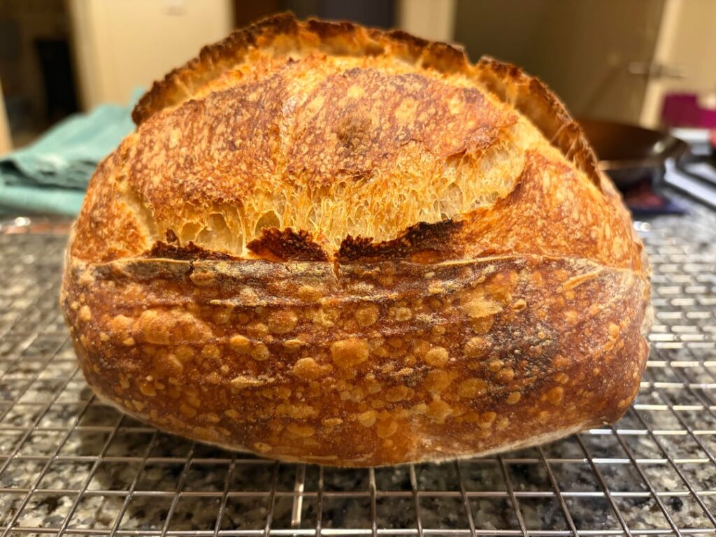 Finally a dark crust without burned bottom