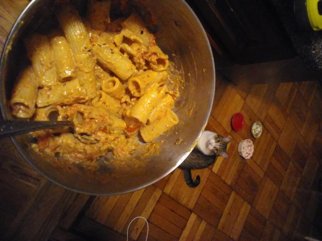 Couplea drinkies at the bar = roasted tomato feta rigatoni