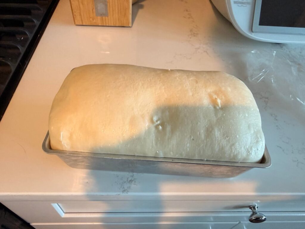 First sourdough, how did I do?