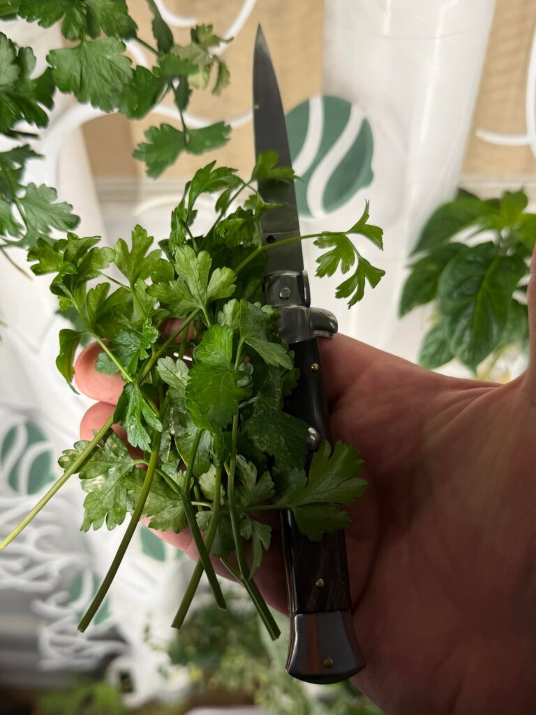 come with me if you want a sandwich