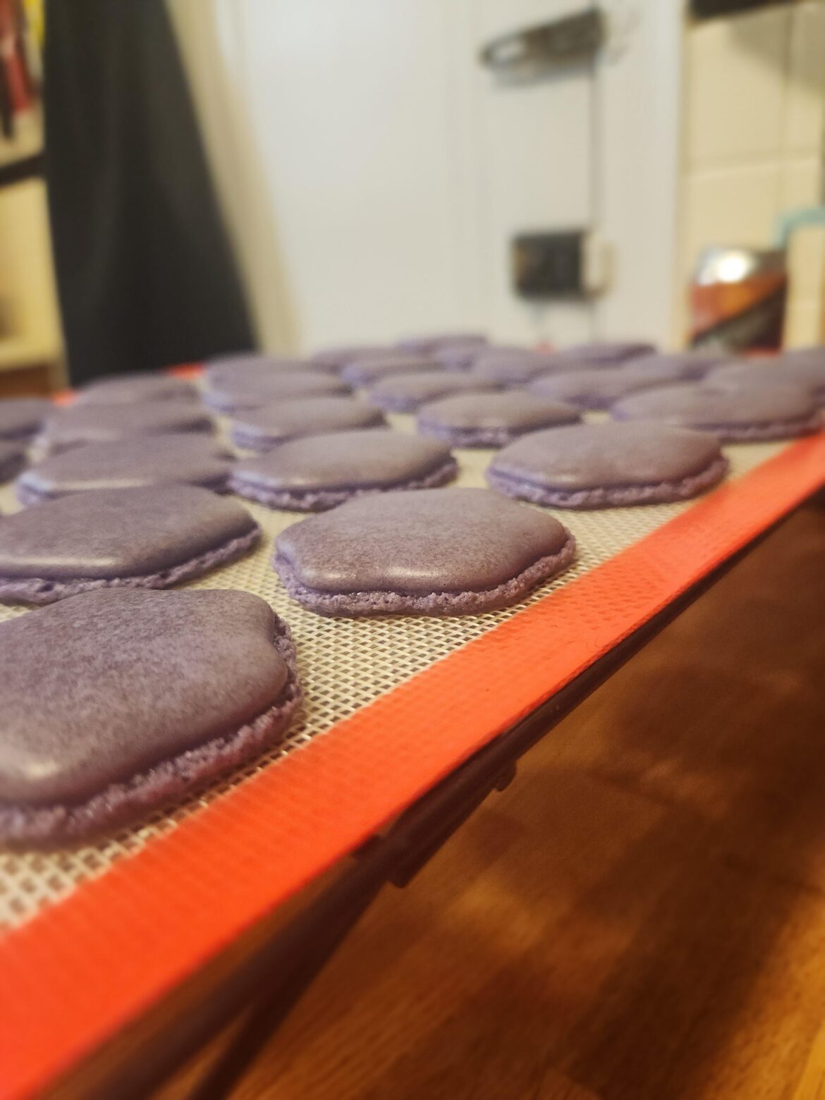 How'd i do on these shells?