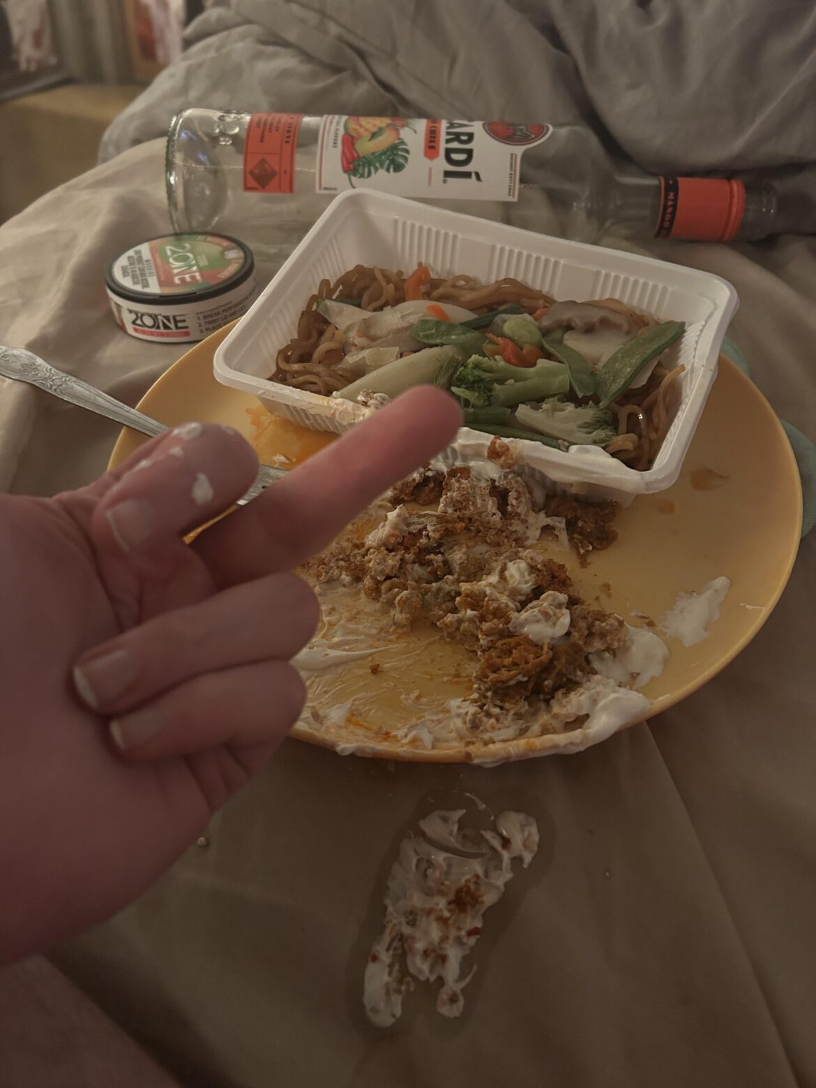 Drank a fifth of Bacardi, patched things up with my family and am now microwaving eggs, chorizo, and frozen lo mein.