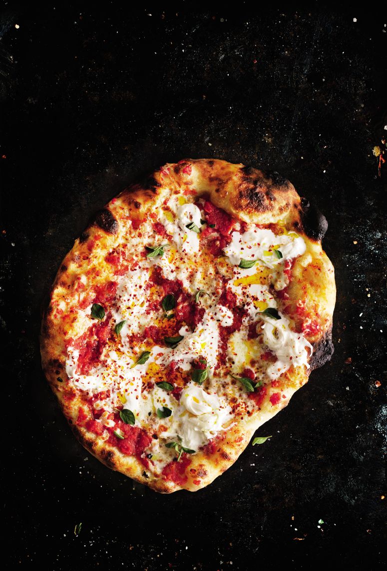 Image may contain: Animal, Bird, Lobster, Seafood, Food, and Sea Life