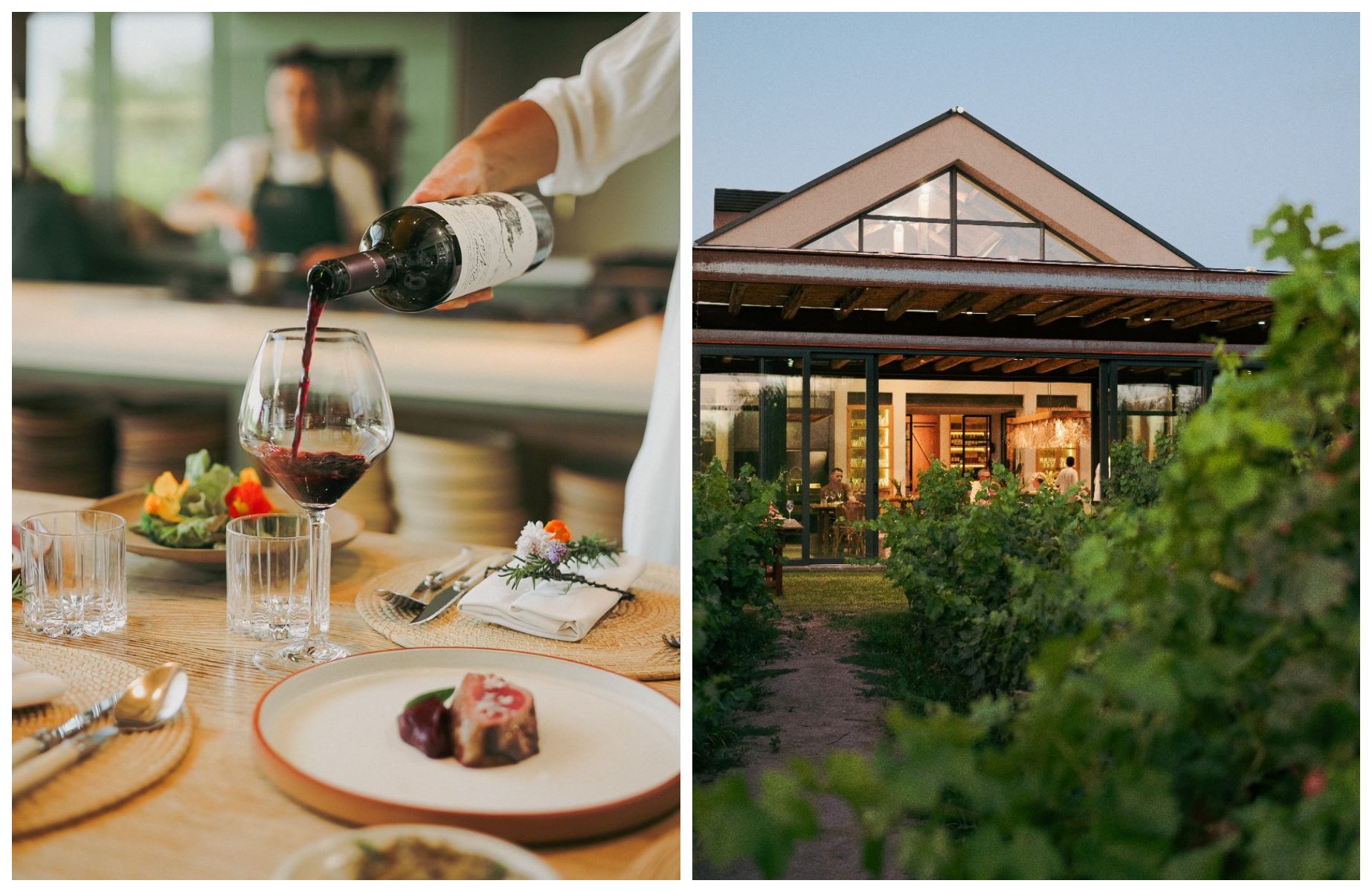 Zonda Cocina de Paisaje offers farm-to-table dining and cooking workshops framed by verdant vineyards, pairing Lagarde Winery’s terroir-driven Malbec with Andean flavors. © Zonda Cocina de Paisaje   