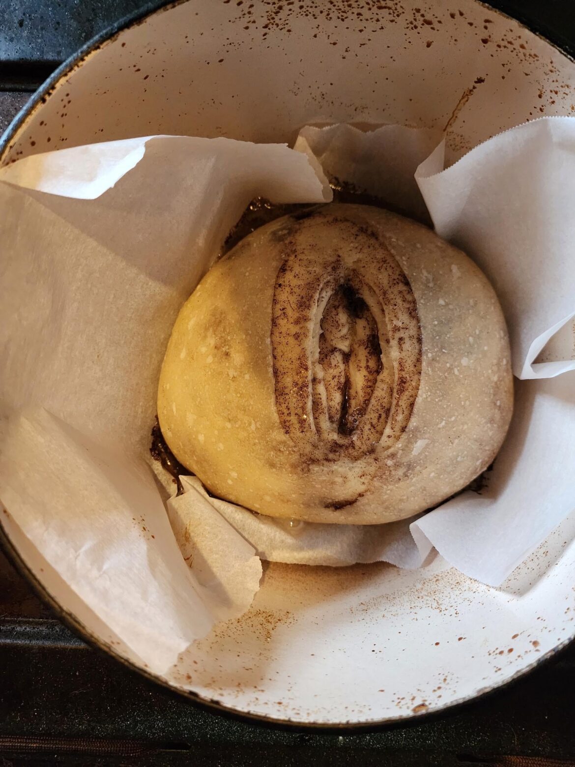 Wife's 4th attempt. Tried cinnamon sour dough this time.