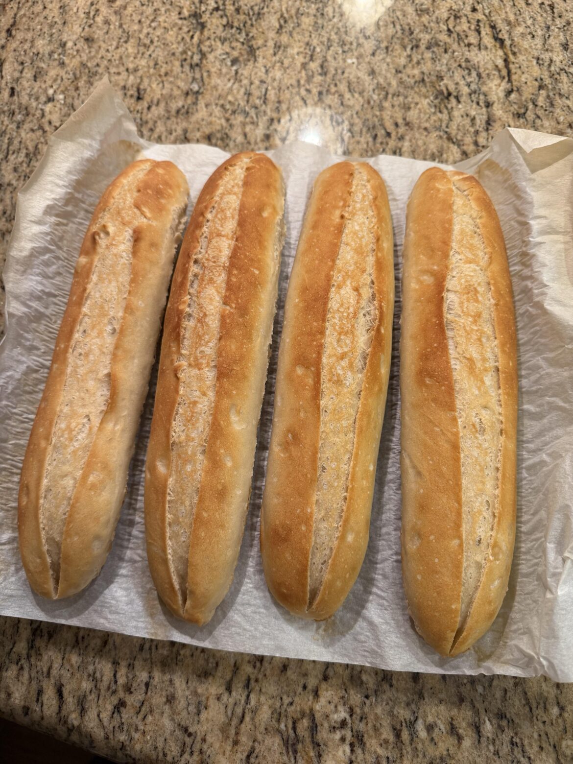 Update! Made a new batch of baguettes (with salt this time)