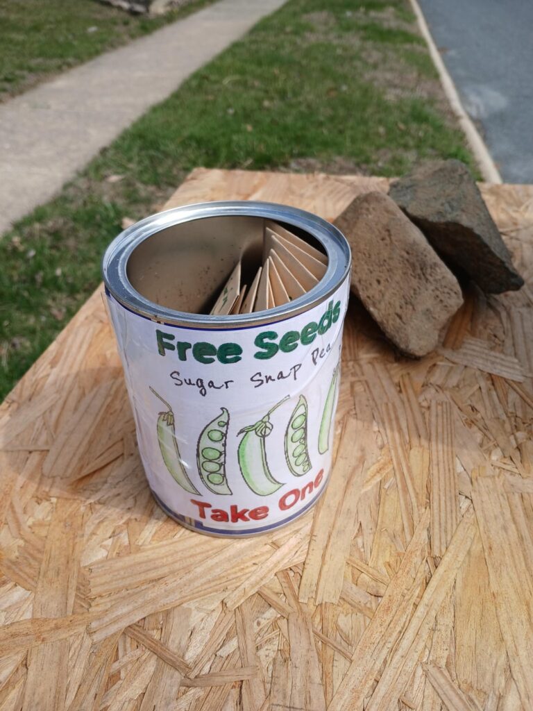 What to do with extra seeds What to do with extra seeds