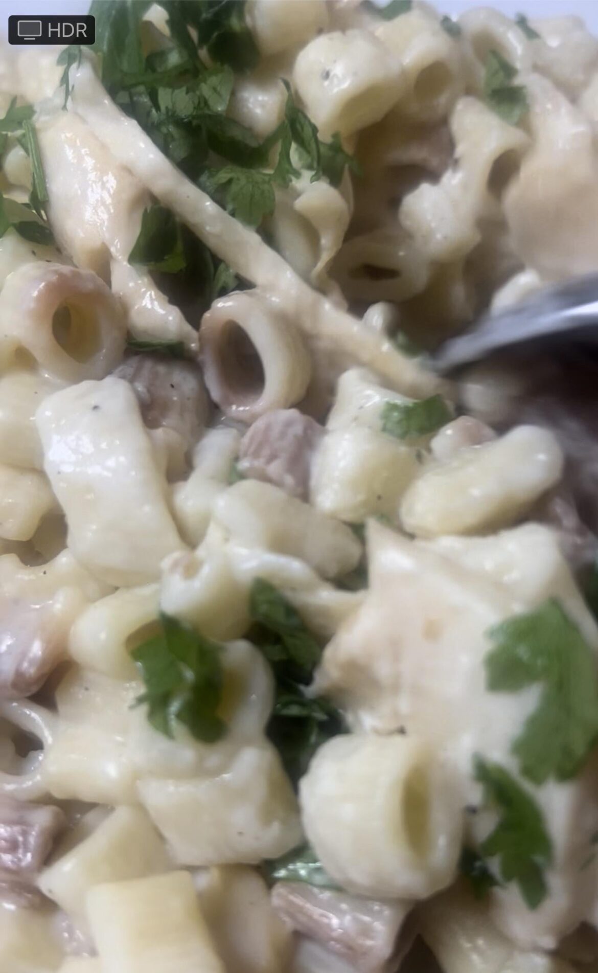 The quickest white sauce pasta with mushrooms in just 5 minutes! 🍝 Amazing creamy taste