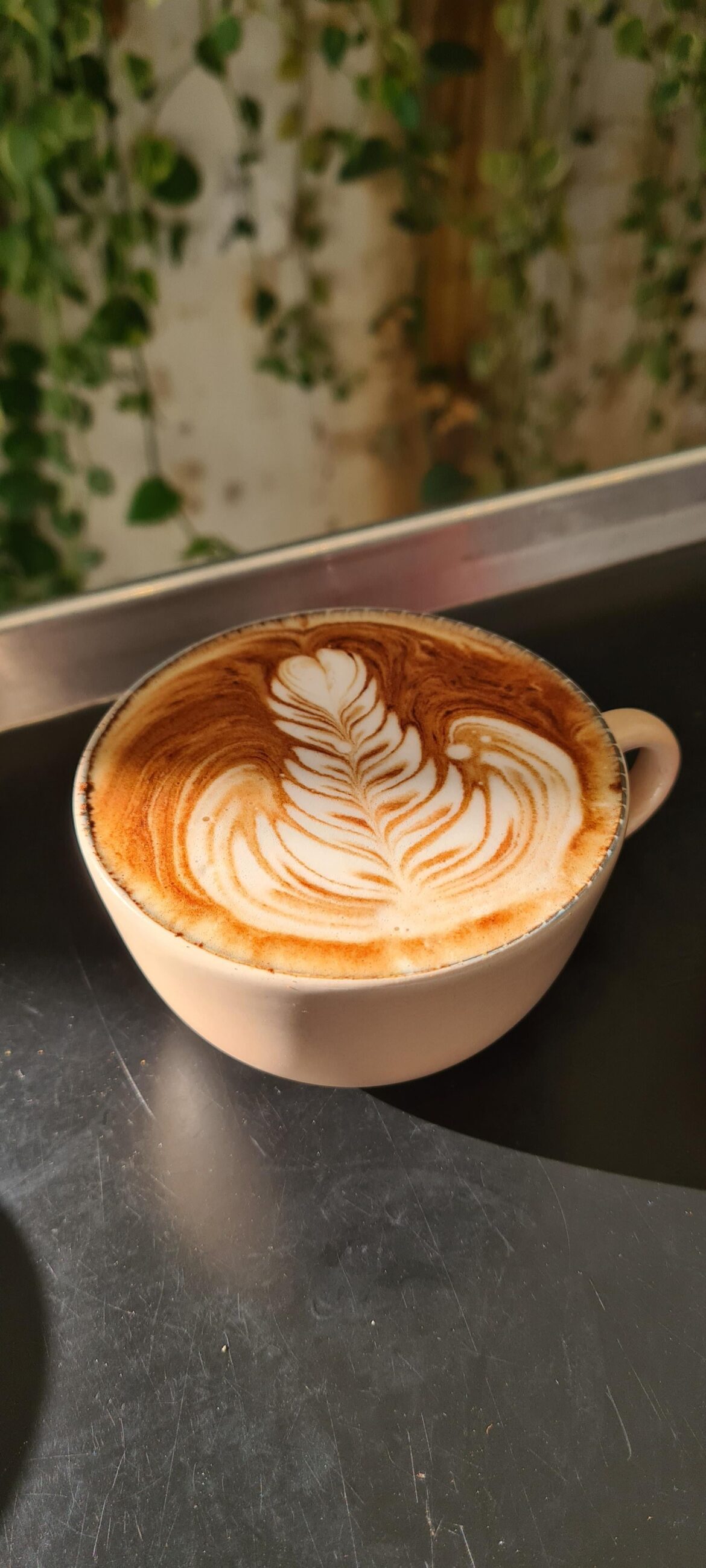 Nunca usei reddit, latte art de boas vindas