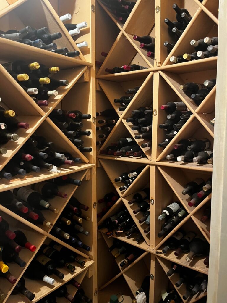 I just found a dusty old wine cellar in the basement 🍷☠️