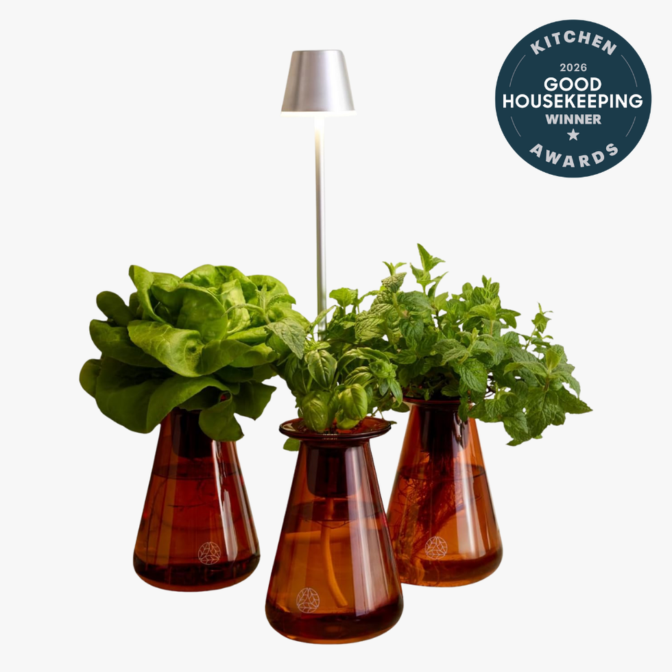 Hydroponic Garden Kit