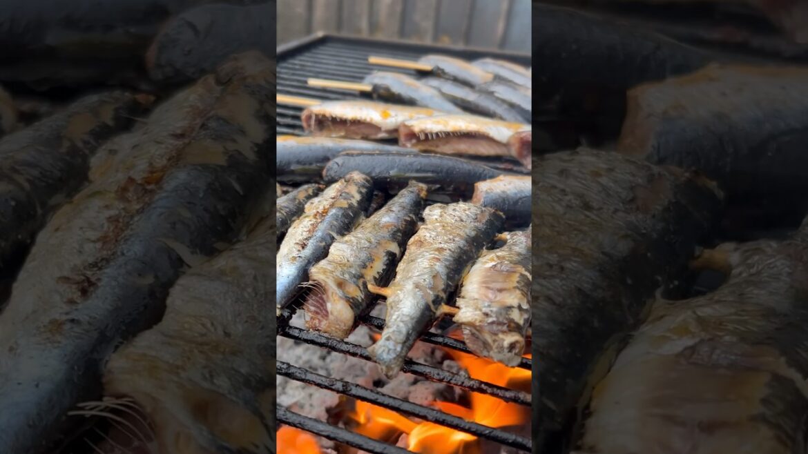 BBQ Sardines Grilled with prawn head oil #fish #biber #sardines #bbq #bbqfish #sardinesrecipe