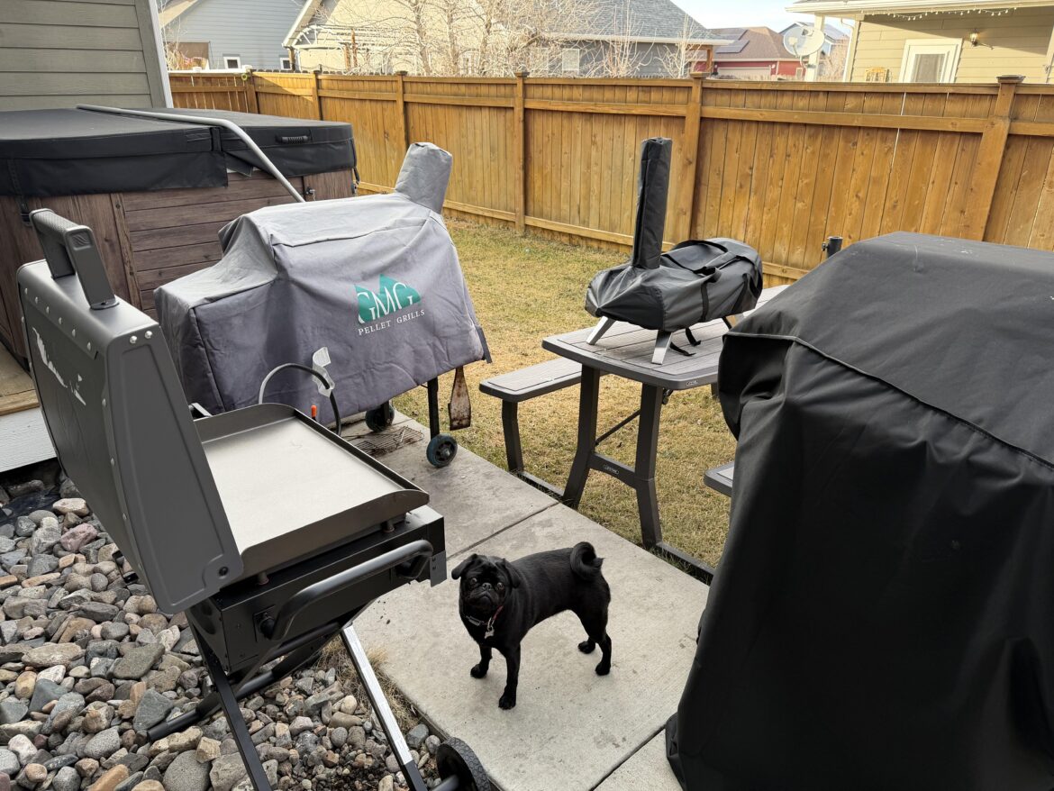 Is 4 outdoor grills too many? Pug for scale.