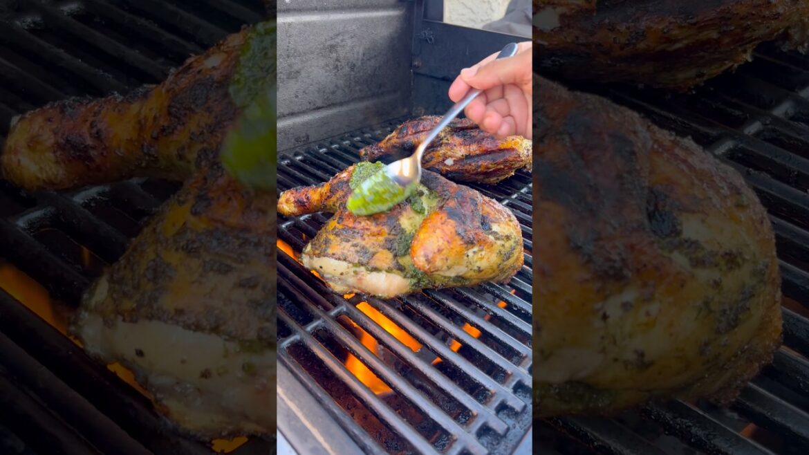 Green Harissa Grilled Chicken