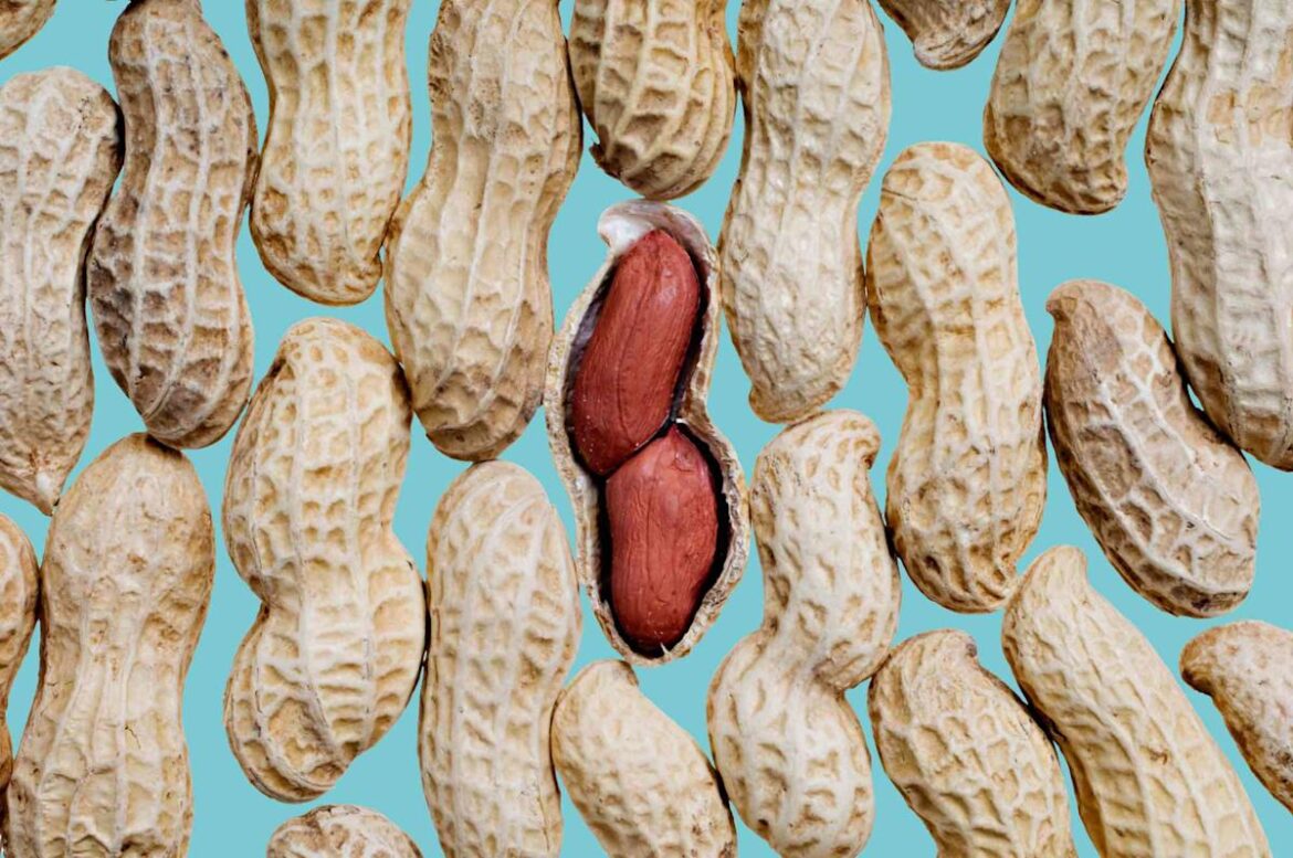 Why Peanuts Are One of the Smartest Plant-Based Proteins You Can Eat, According to RDs Real Simple