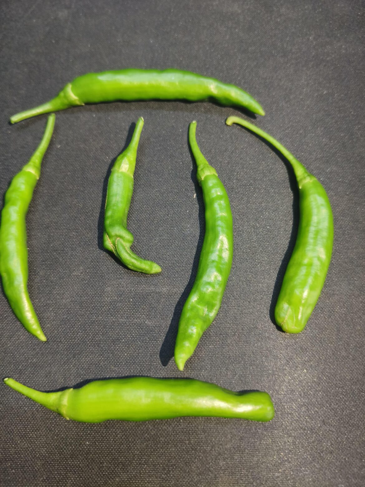 First harvest from my own plant and I’m honestly so happy right now