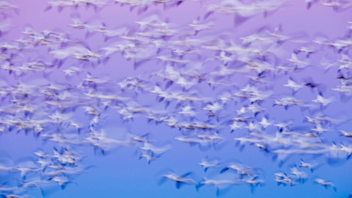 Wine 11 might be the tipping point that finally pushes gamers from Windows to Linux