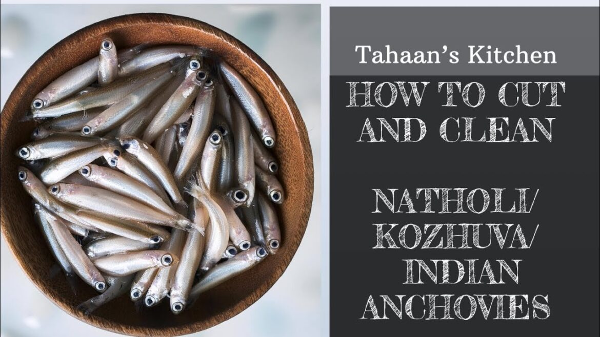 Nattholy Fish How to Easily Cut and Clean Indian Anchovies (Kozhuva/Natholi) | Step ...