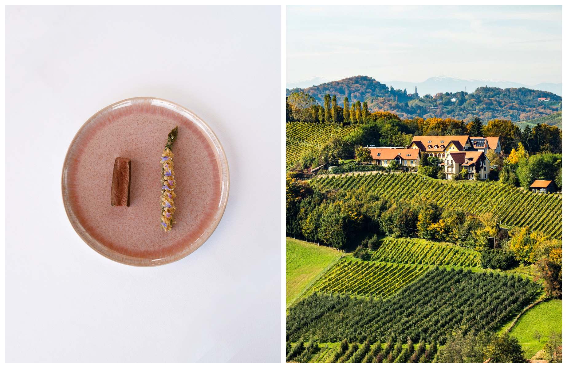 At Sattlerhof in Styria, enjoy garden-driven cuisine paired with estate and global wines, set amid manicured vineyards that can be explored by e-bike and hiking trails. © Conversion Club/Sattlerhof  