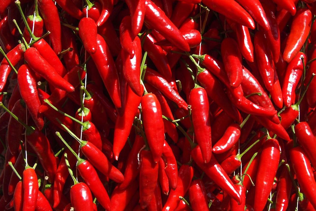 Credit: Marco Casse' / Getty Images