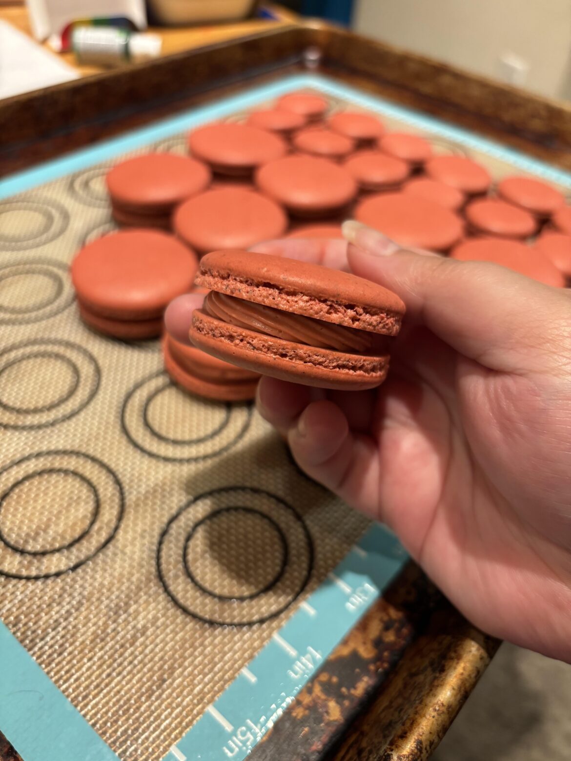 big macarons!